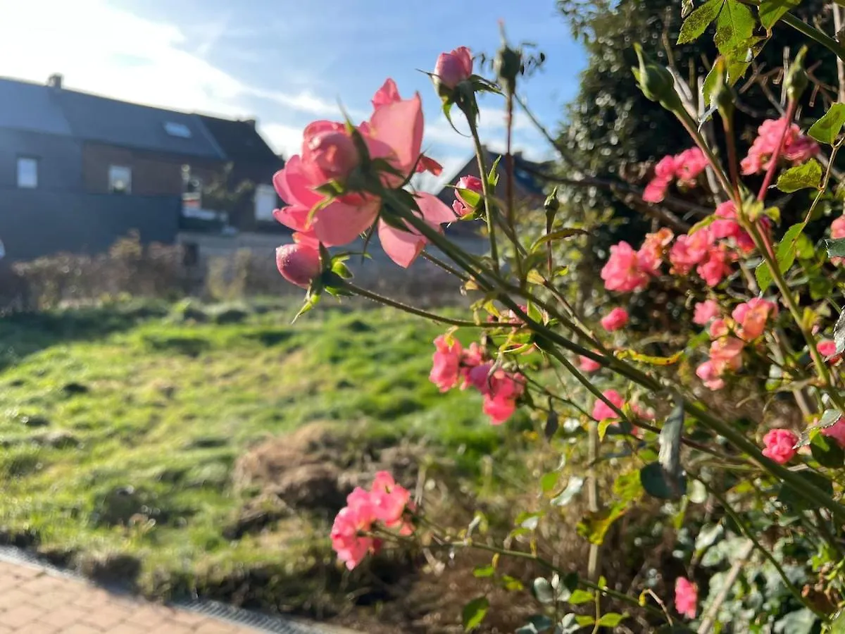 Isa'Bellescale - Fully Equipped House 2Km From Brussels South Airport Villa Ransart Belgium